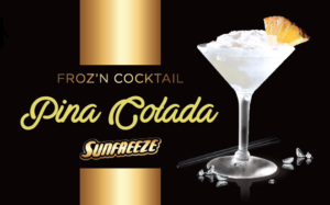 Froz'n Cocktail | Pina Colada