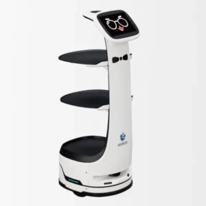Le robot de livraison T8