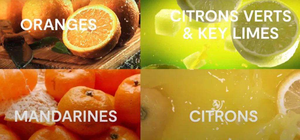 Viva Types de fruits