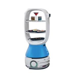 Le robot de livraison T1