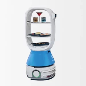 Le robot de livraison T1