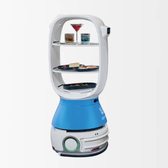 Le robot de livraison T1