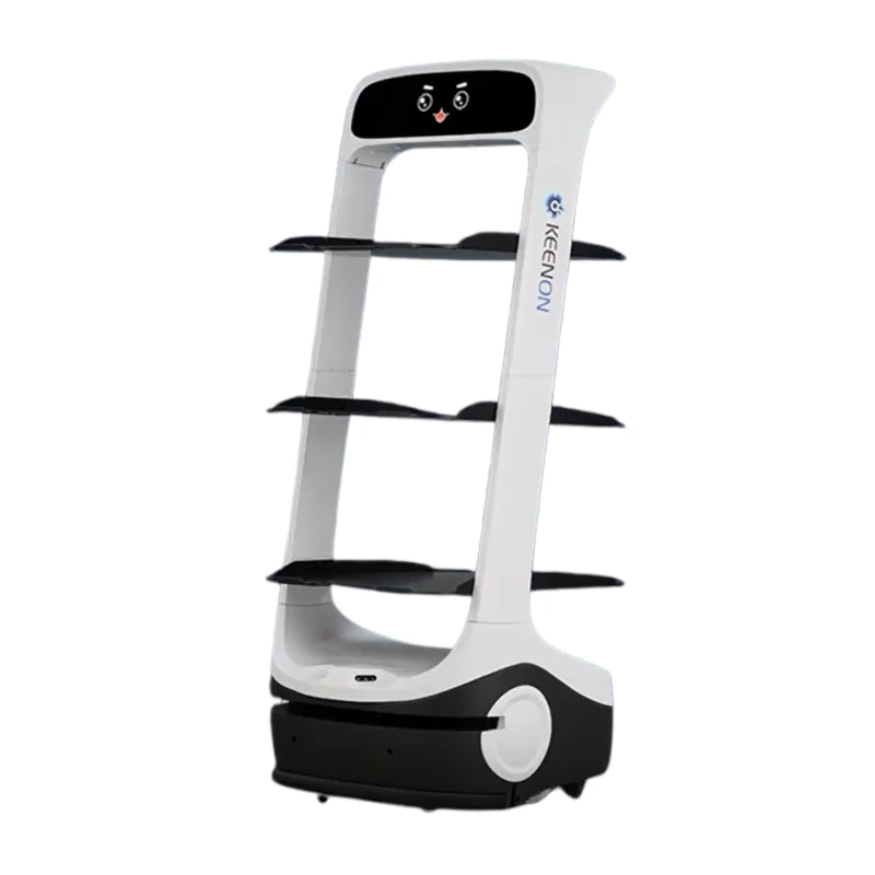 Le robot de livraison T6