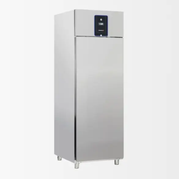 Armoire négative 546 L Inox Tropicalisé